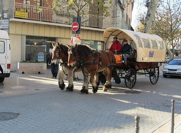 choisissiez nos calèches pour vous transporter 